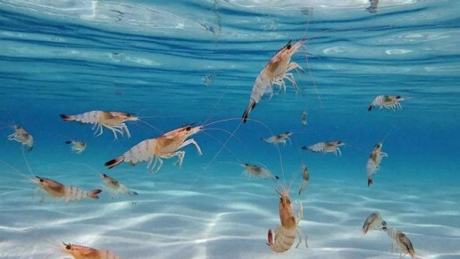 ��������������� �������� ��������� � ������� ������