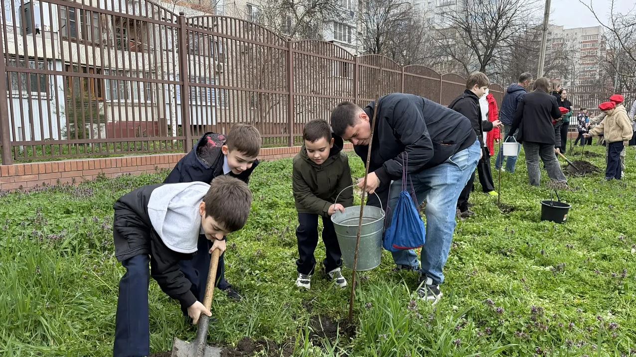 В Краснодаре стартовала акция по озеленению
