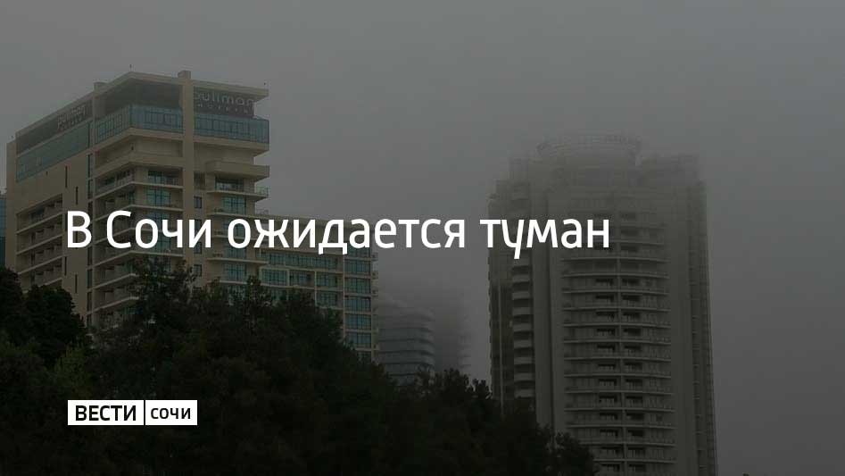 Ночью и утром 29 марта на территории Сочи и федеральной территории Сириус прогнозируют туман