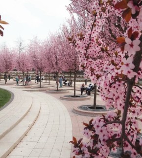 1 ��������� ����������� � ������: � ������ ������� ����� �����, ������� �� ������