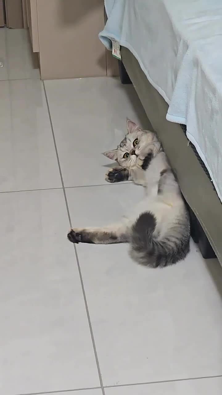 Спокойной ночи, Краснодар!