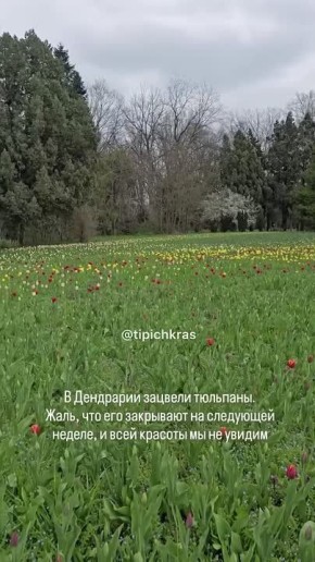 � ������������ ���� ������� ��������, � ��� ����� �������!