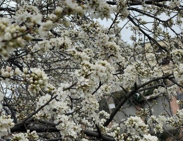 ��������� �������� ���������� ���� ��������� ����������