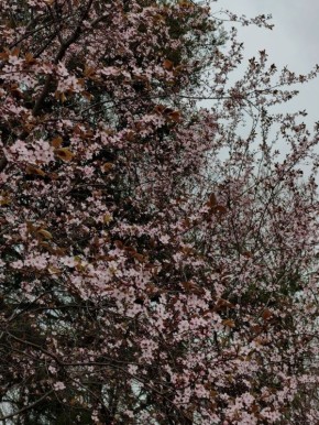 � ������ �� 29 ����� . � ������������� ���� ���������� ����������