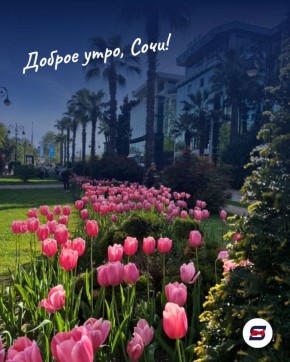 ������ ����, ����!. ������ ���� ���� ������� ��� �������� ��������, ����� ������� � ������ ���������� �����������