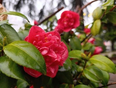 ������ ����, ������� �������!