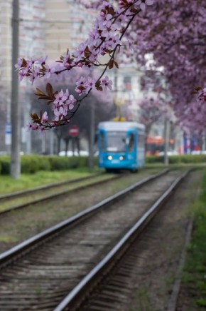 ������������ ������������� ������ �� ����� ��������������