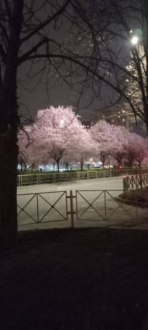 � ������ �� 30 �����. � ������������� ���� ���������� ����������