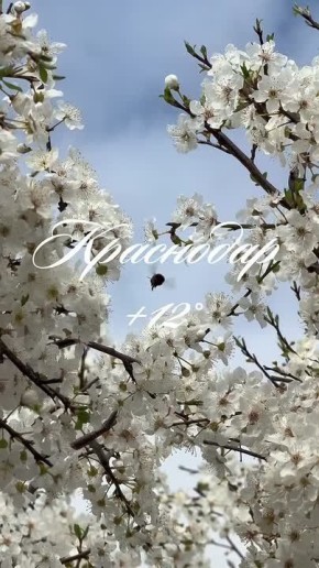 ������ ����, ���������!. � ������ ������� � ������������