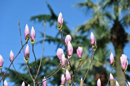 ������ ����, ������� �������� ����!