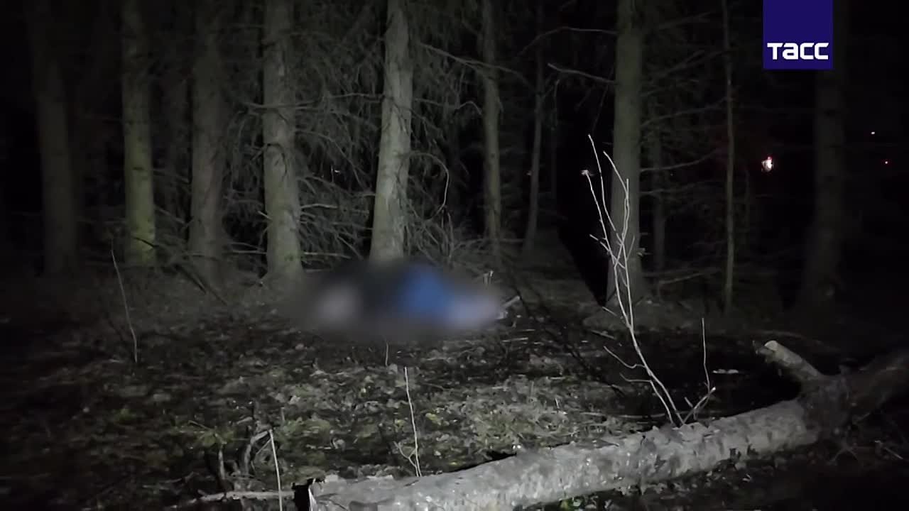 Террорист ликвидирован. Очередной пособник украинских спецслужб собирался устроить теракт в Подмосковье