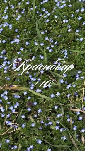 � ������ � ����������. ���� ���� � ������� ������ ����� ������� � ������������