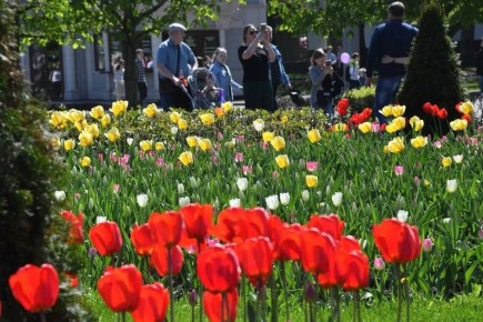 � 2025 ���� � ���������� �������� ����� 40 ����� ��������: 38 ����� ����������� � ����� ���� ����� ��������