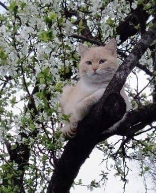 Доброе утро, Кубань!. Краснодар +13 °С