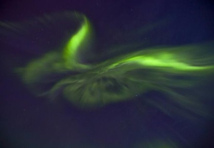 Львы – доверьтесь обстоятельствам, Скорпионы - проявите терпение