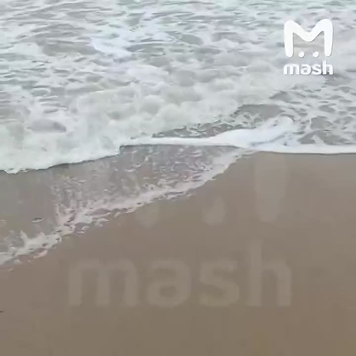 �������� � ������ �� ������� ����� �������� �������� �� ������ � ����� � �� ����� ������� ������������� ��������, ������� ������ ���������� �� ������� �� ����������� �����