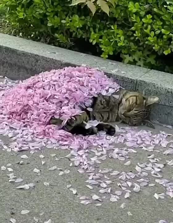 ������������ � ������ � ������� ����