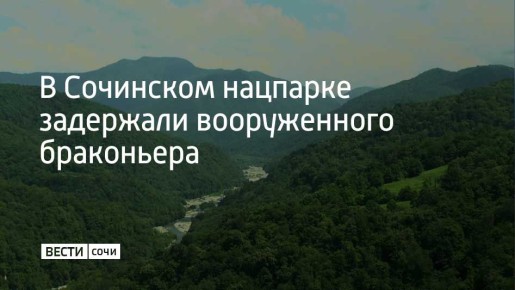 � ���� �� 29 ����� ��������������� ���������� ��������� ������������ ������� ��� �������������� ���������� �����-��������� �����������