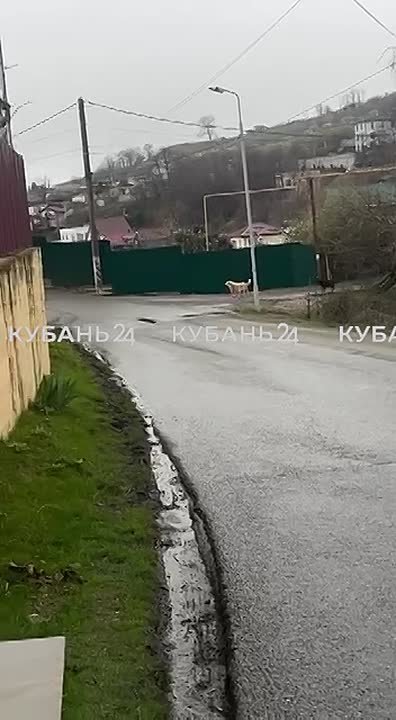 О чем мы рассказывали 1 апреля: