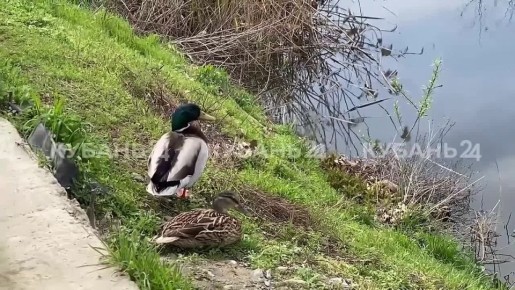 �������� ��� ���� � �������������� ����� ��������� � ������� � ����������