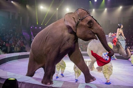 "����������" � ����������� ������� ��������� ���������� � ��������������