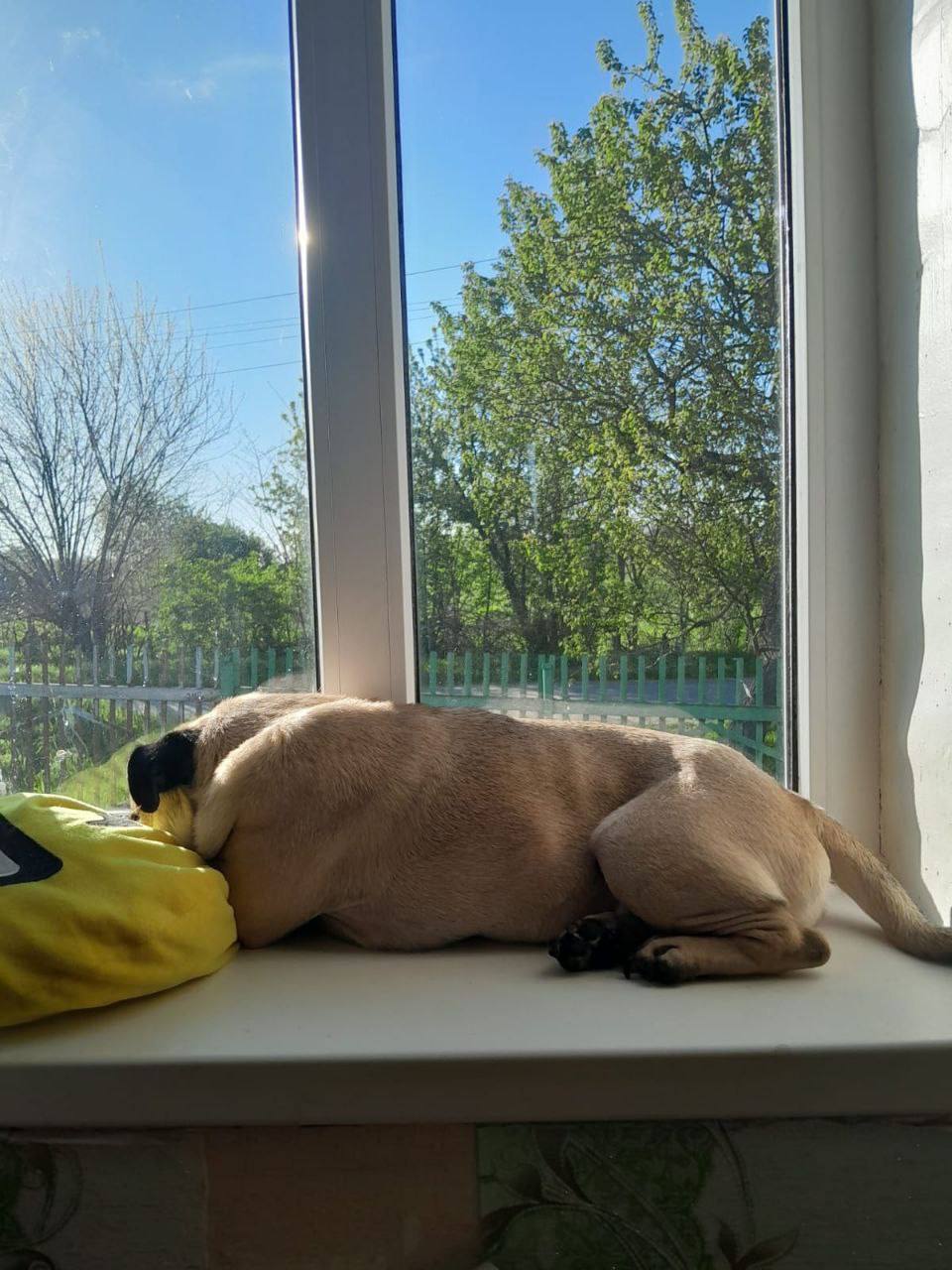 Доброе утро, Кубань!. Краснодар +20 °С