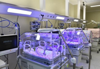 ��������� ������������� ������ �������� ����������� ������������, ������� �������� ����������� ������ �� �������� �������