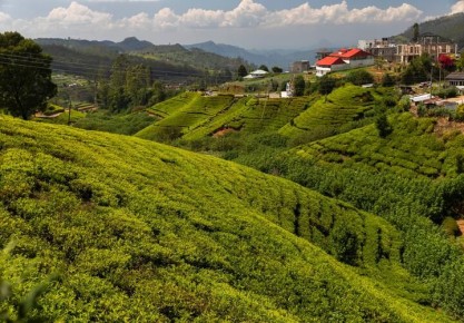 �� ������ ������� �� �����: ��� ����������� ���������� �������������� ����