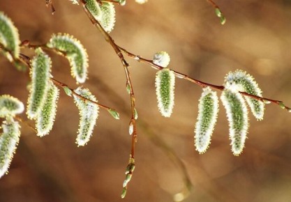 ��� ��������� ����� ��������: ������� ����������, ��� ������ � ������� ����� ���������, ����� ��� �� ������� �� ��������� �����