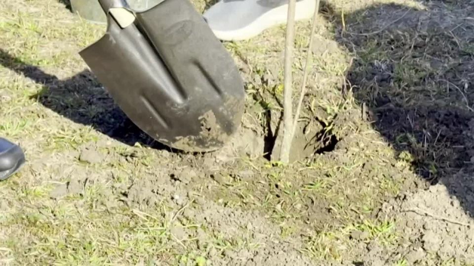 �� ���� �������� ������ �������� ����� ���� ������