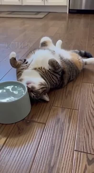 ����� ������� �� �����.... �� � MAX