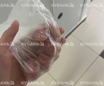 Главное 4 апреля:. 1Отравленные куски сосисок разбросали неизвестные в многоэтажке Краснодара