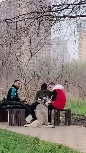 � �������� ���������� ������