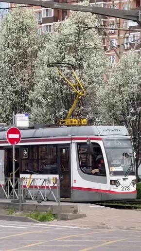 �������������� ��� �� � �������, � � ����� - �� ������� �� �������������� �� ���