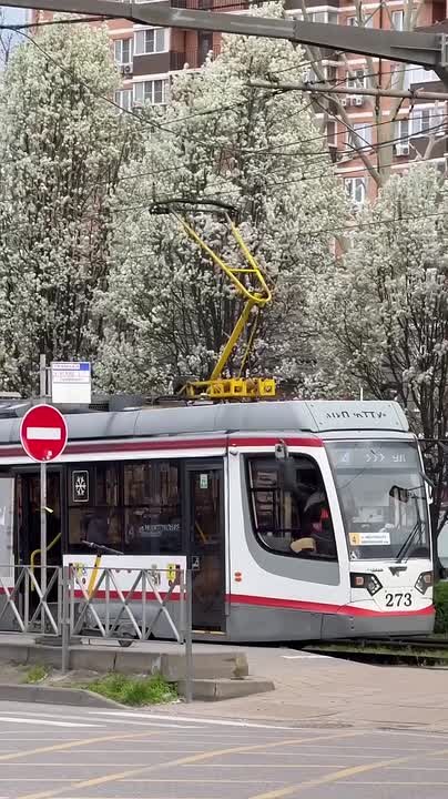 Ставропольская уже не в розовом, а в белом - на участке от Старокубанской до ТЭЦ