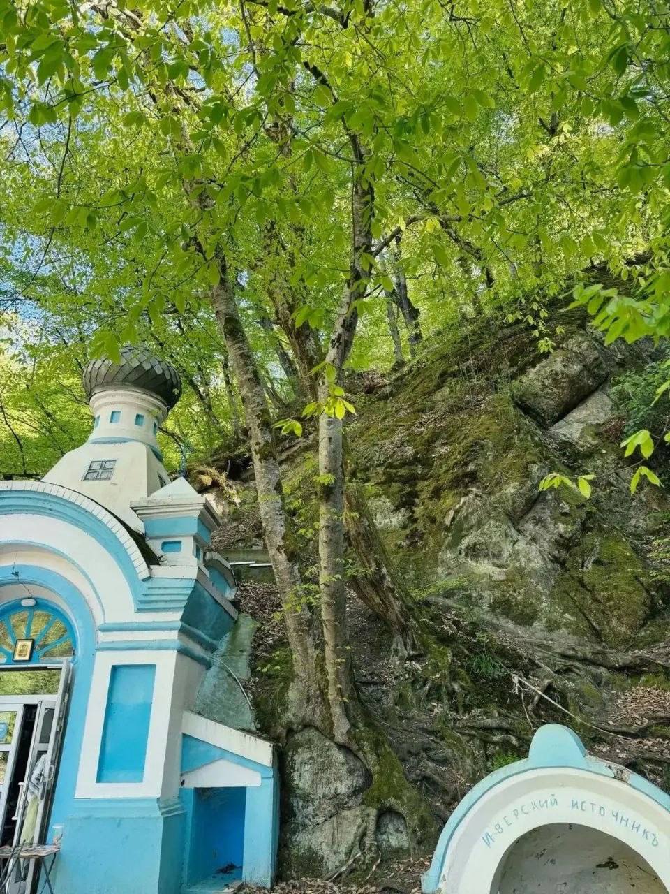 Селфи на скале в Горячем Ключе едва не стоило жизни двум девочкам