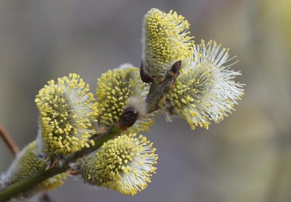 ��� ����� � ������ ������ � ������� �����������. ������������ �������� �������� �������� 5 ������