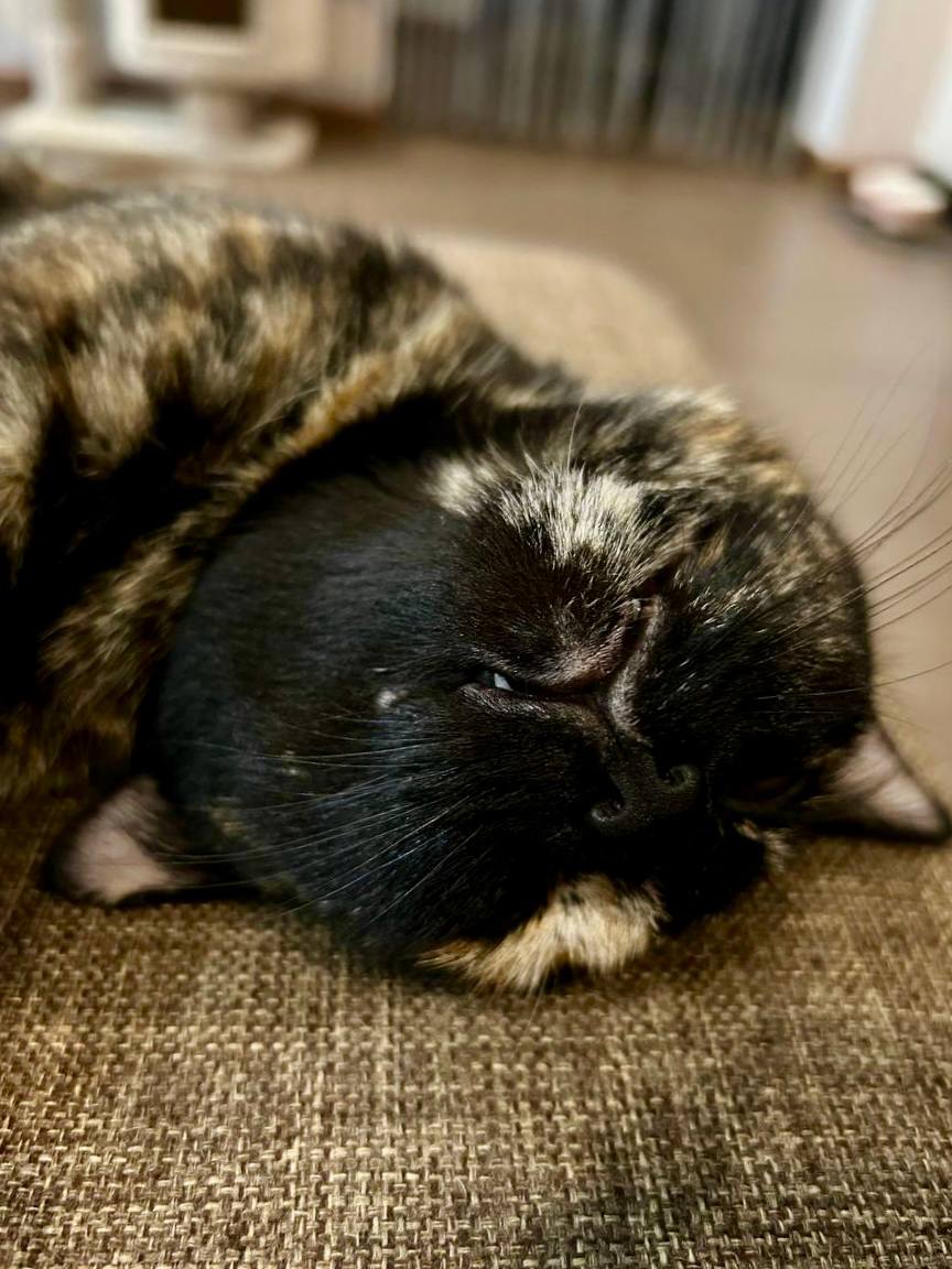 Доброе утро, Кубань!. Краснодар +17 °С