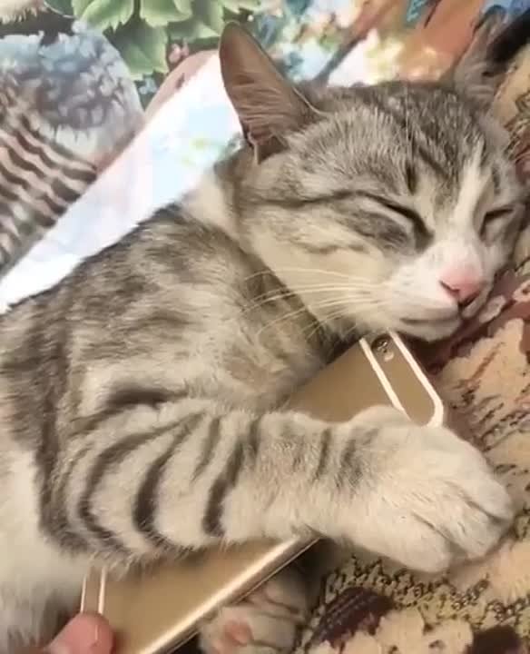 Кажется, уже понедельник. Мы в MAX