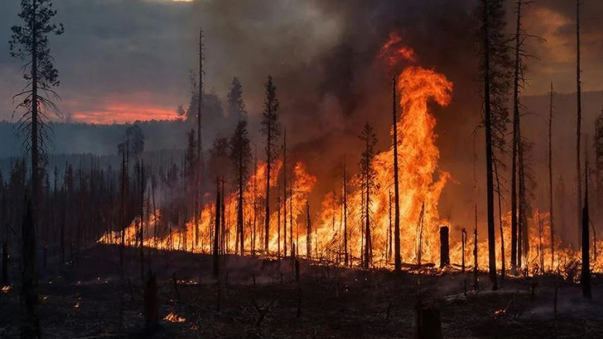 Высокая пожароопасность объявлена на Кубани
