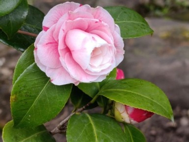 Доброе утро, любимый Сочи!