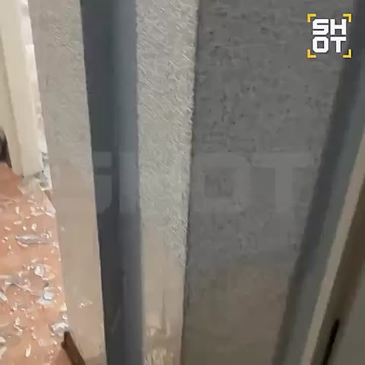 ������ ������� ���������� � ������������� ����� ������ ���������� �������������