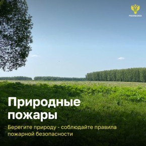 #администрацияЕйскогорайона #остановиогонь