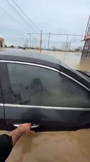 �����, ���������� �� �������� � �� ������, ������?�: ���������� �� ������ ������� ����� ���� �� ����� ����������