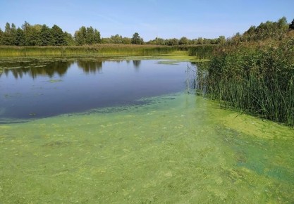 ��� ������ � �������: ����� �� ������ ��� ������ ���� ���������� ����