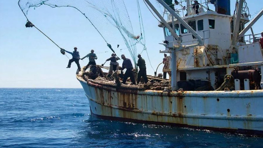 Сезон лова камбалы начался в Сочи