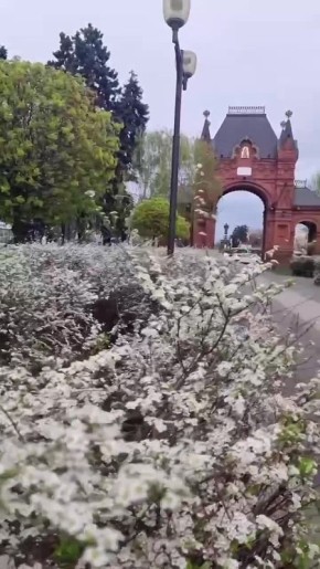 Красавица-невеста зацвела на Красной