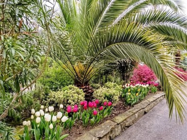 ������ ����, ������� �������!