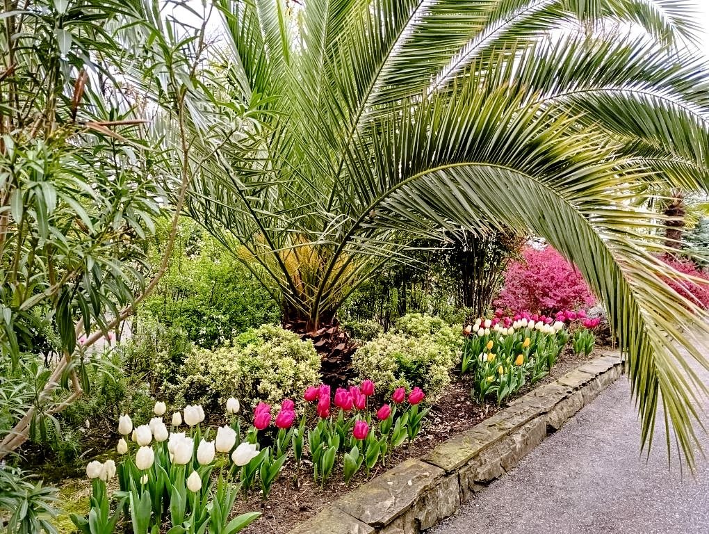 Доброе утро, дорогие сочинцы!