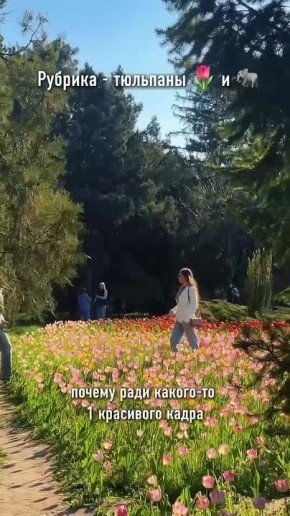 Тюльпаны и слоны в Ботаническом саду